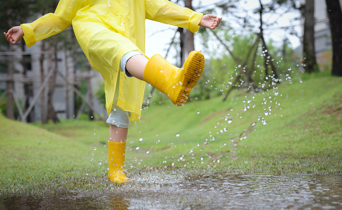 이안(iaan)의<br> 브랜드 가치