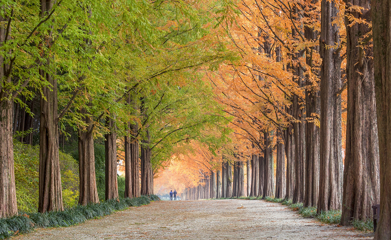 남산근린공원의<br> 힐링라이프